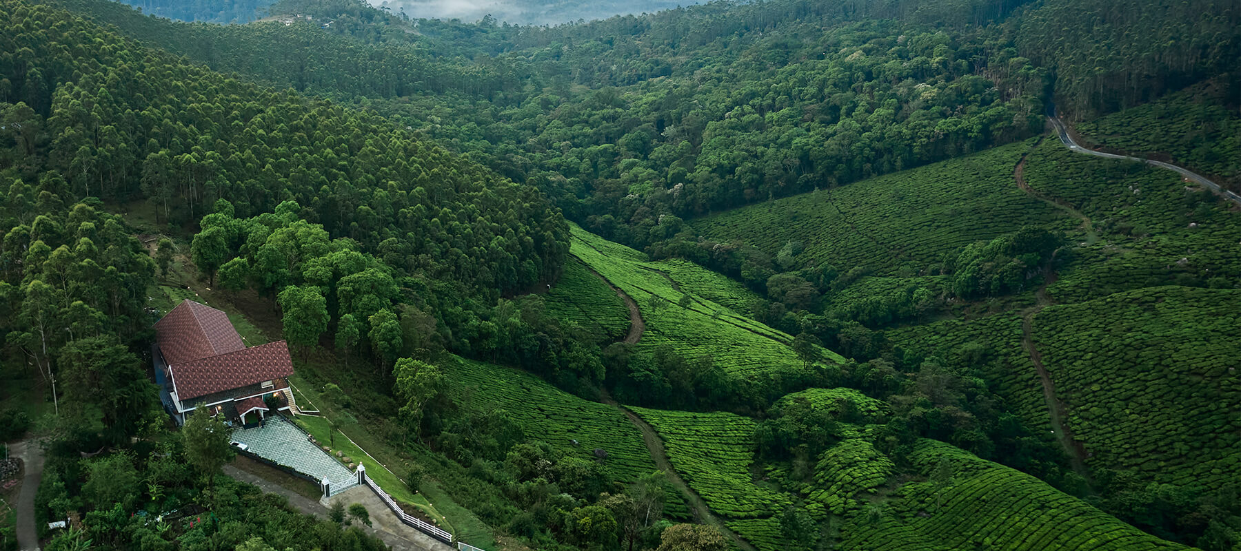 The Planet Munnar