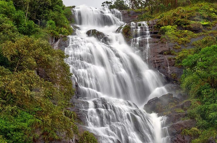 The Planet Munnar