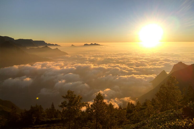 The Planet Munnar