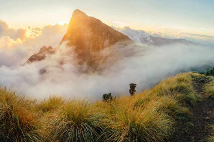 The Planet Munnar