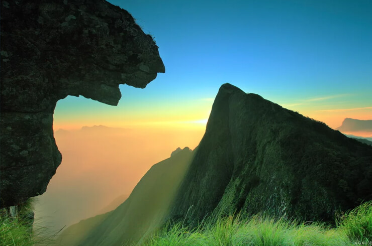 The Planet Munnar