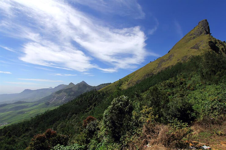 The Planet Munnar